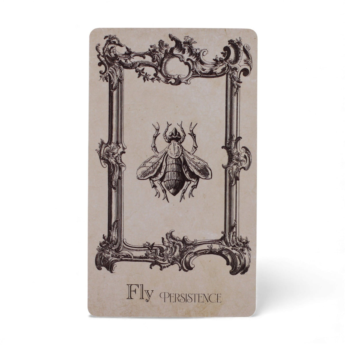 Karty wyroczni Spellbook: 40 kart w stylu starej księgi zaklęć – zdjęcie 5