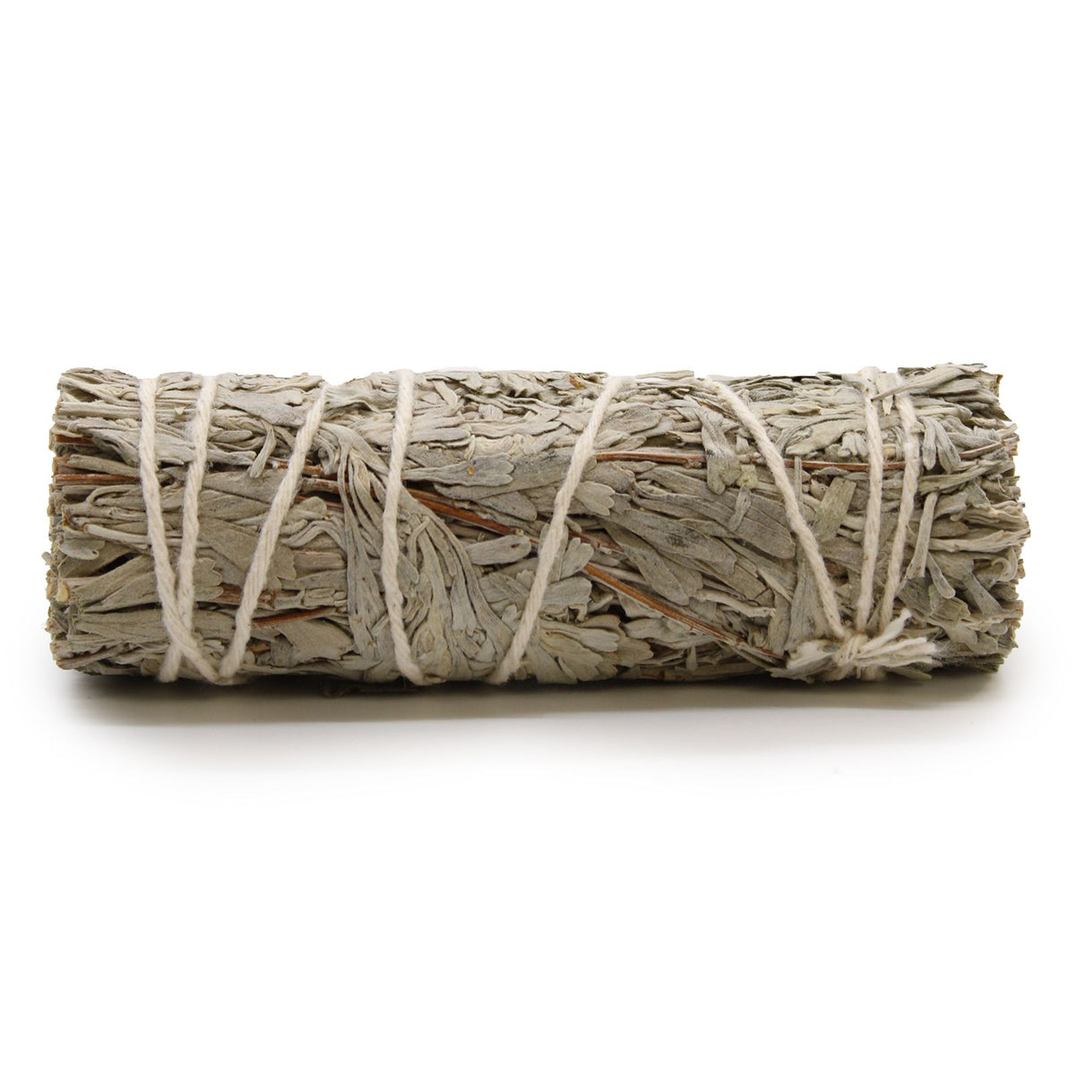 Niebieska szałwia, pęczek 10 cm